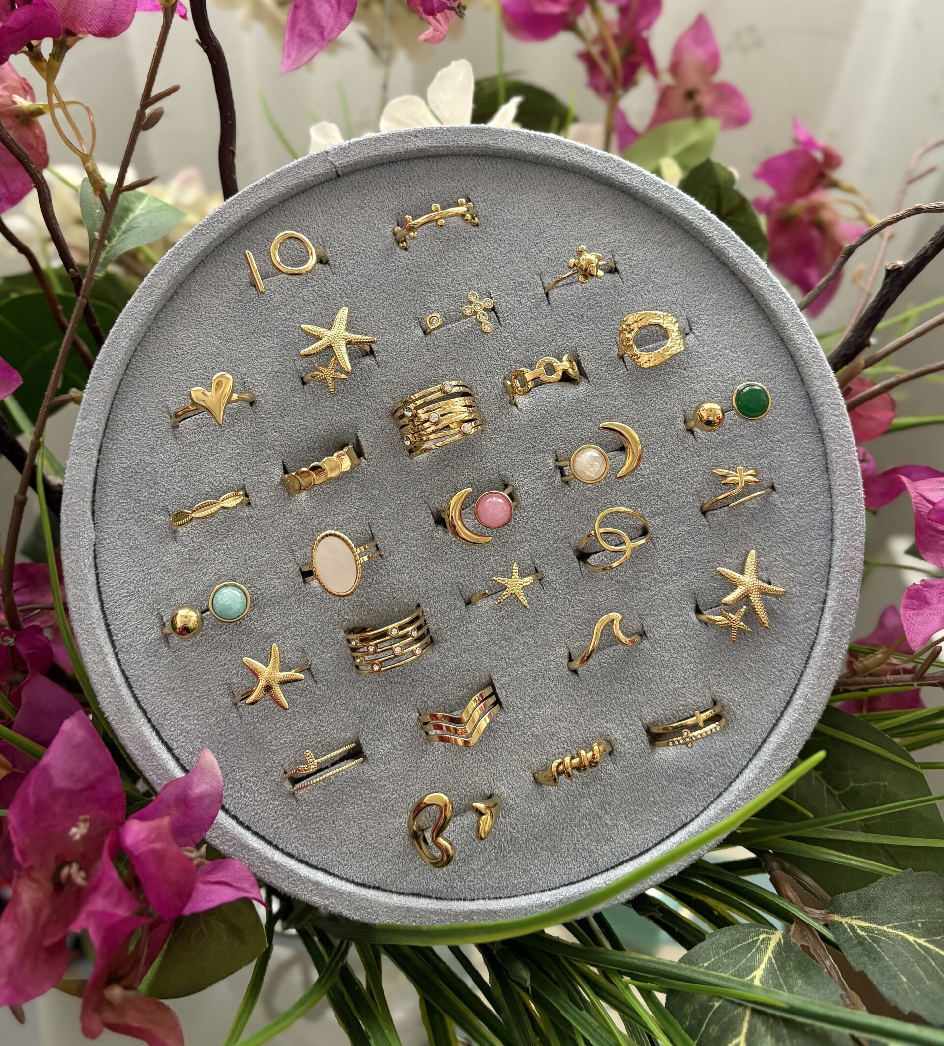 Colección anillos. - 1
